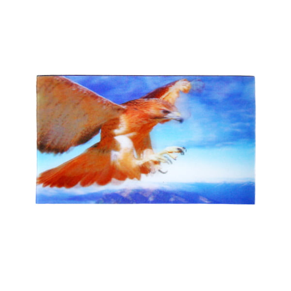 D11791a-3d-koelkastmagneet-roofvogel.jpg 3d Koelkastmagneet roofvogel