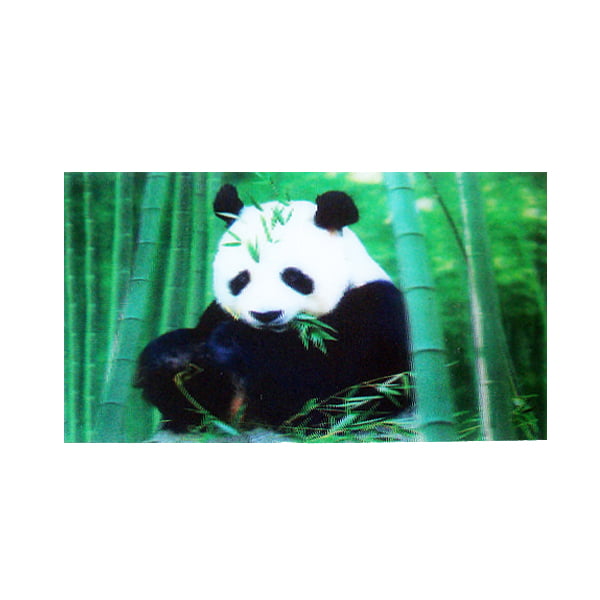 3d koelkastmagneet met een panda