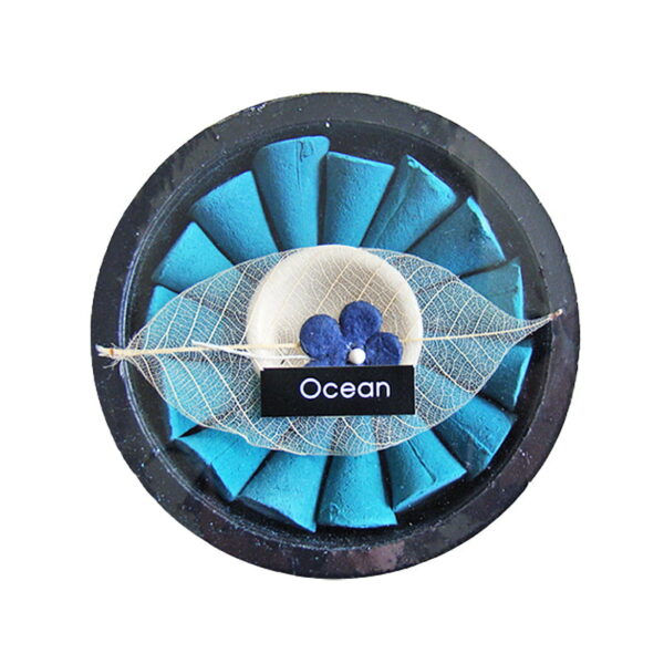 wierookkegeltjes met houdertje in de geur oceaan
