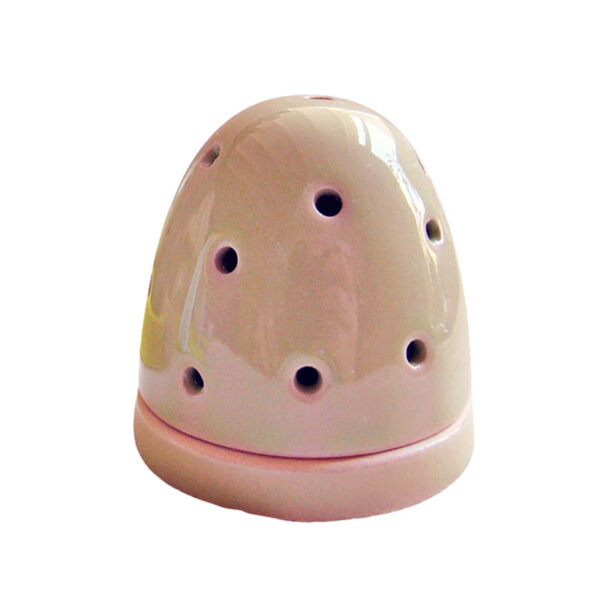 Wierookbrander eivorm zalm