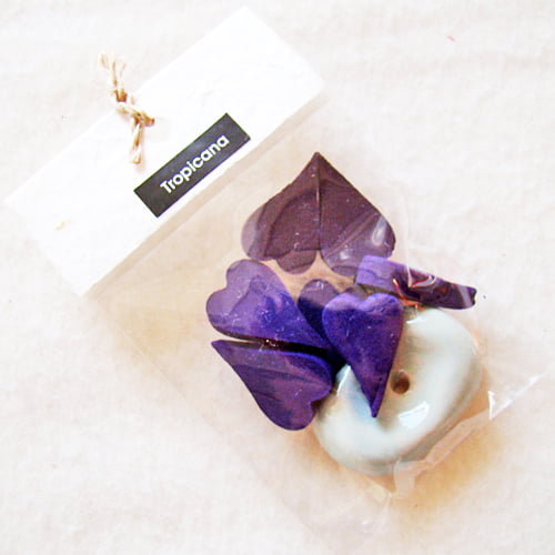 Wierookhartjes met houder - tropicana