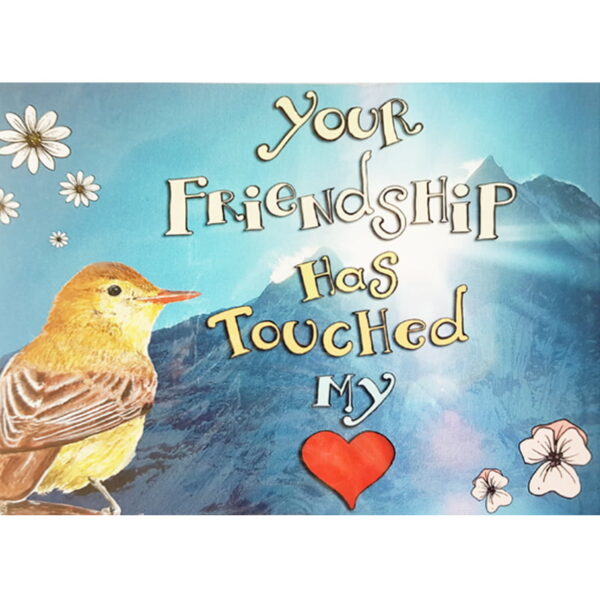 SD0034-kaart-your-friendship-has-touched-my-heart.jpg Kaart Your friendship has touched my heart - Sidedish